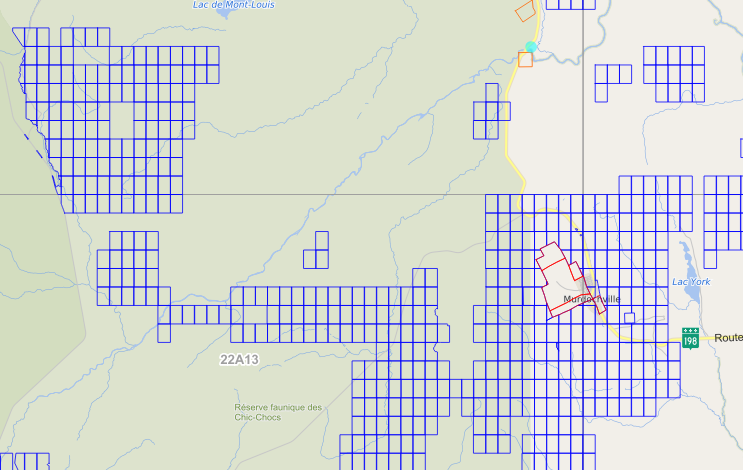 Gestion des titres miniers